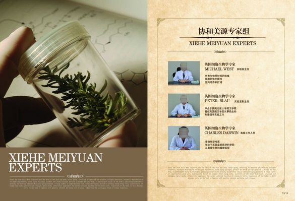 侨界医学专家团队走基层